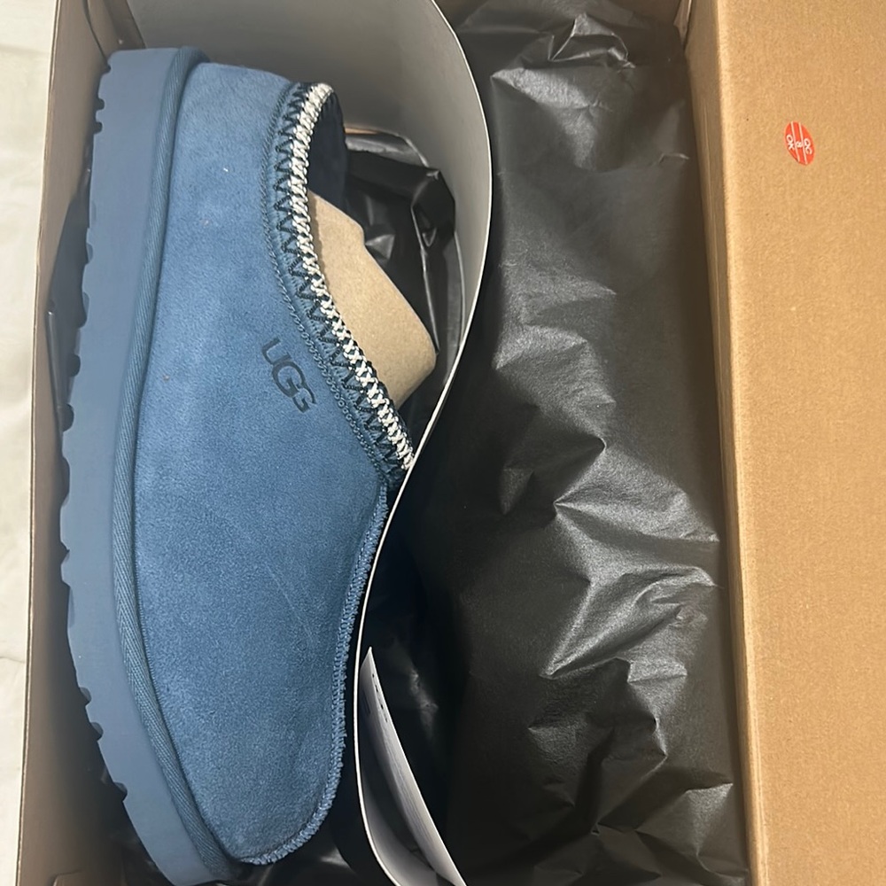 UGG Men's Blue Suede Shoes